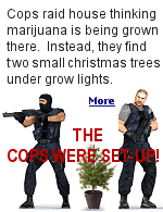 An organization called ''KopBusters'' pretended to be growing marijuana, to catch police using illegal methods when they raided the house.